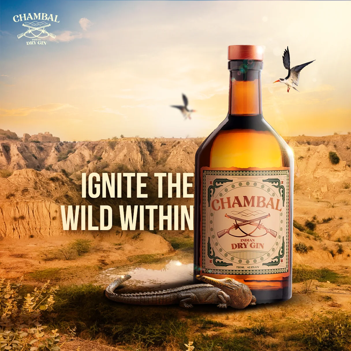 CHAMBAL - 5TH June - Design Saga - (31st May) 1